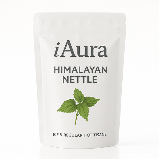 Himalayan Nettle