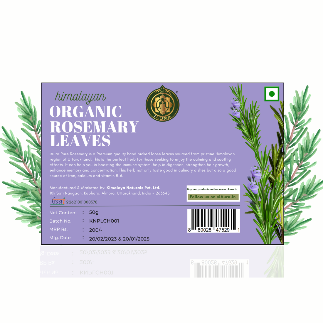 Himalayan Rosemary