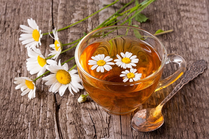 iAura Chamomile - Ice & Regular Hot Tisane
